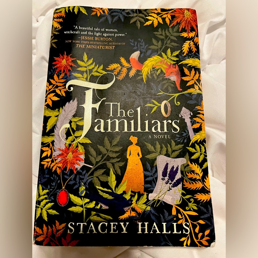 The Familiars by Stacey Halls book novel